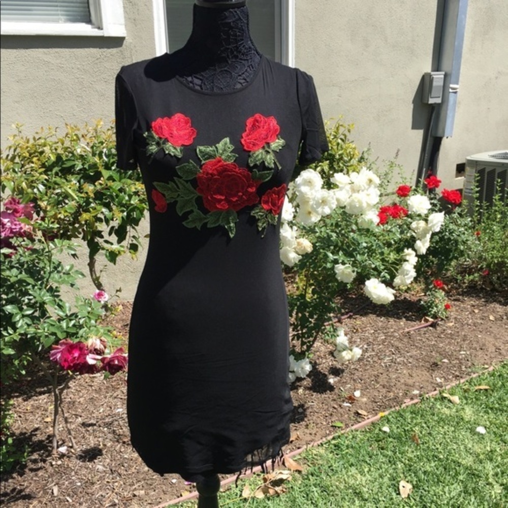 NWT multiple sizes 2 piece sheer‎ rose black dress